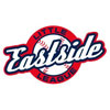  Eastside Little League Ladies Dri Mesh V-neck polo | Eastside Little League  