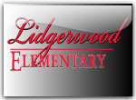  Lidgerwood Elementary Screen Printed Hooded Sweatshirt | Lidgerwood Elementary   