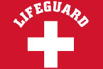  Lifeguard Apparel Screen-Printed Crewneck Sweatshirt | Lifeguard Apparel  
