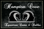  Hampton Cove Ladies Dri Mesh V-Neck Polo | Hampton Cove Equestrian Center & Stables   