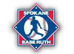  Spokane Babe Ruth Screen Printed Hooded Sweatshirt | Spokane Babe Ruth  