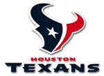  Houston Texans 3 Ball Pack and 50 Tee Pack | Houston Texans  