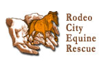  Rodeo City Equine Rescue Embroidered Long Sleeve Twill Shirt. S600T | Rodeo City Equine Rescue  
