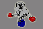  Pugilist - Professional Boxing Trunks | Pugilist  