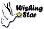  Wishing Star Ladies Long Sleeve Shirt | Wishing Star Foundation  