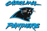  Carolina Panthers | E-Stores by Zome  